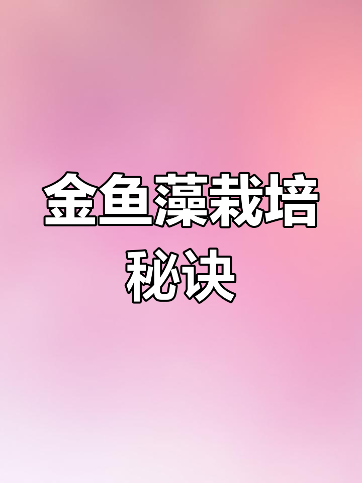 金鱼藻种植技巧:水质、光照与快速繁殖要点