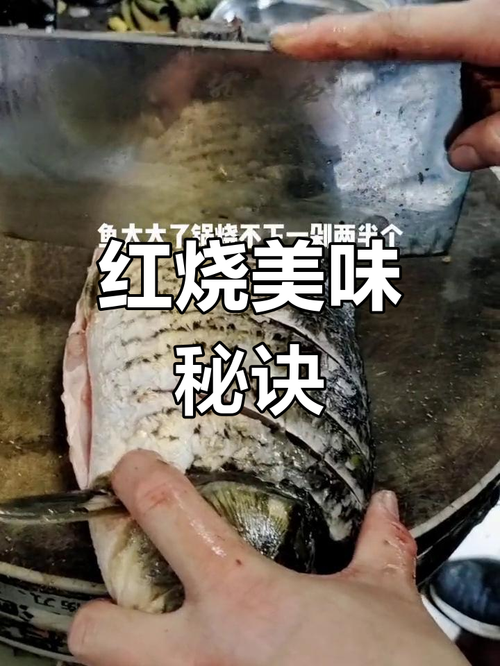 微山湖大鲤鱼,蒜苗点缀,完美滋味无法抗拒!
