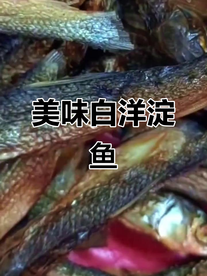 白洋淀鱼香四溢,熏味十足,配饭夹馍超赞!