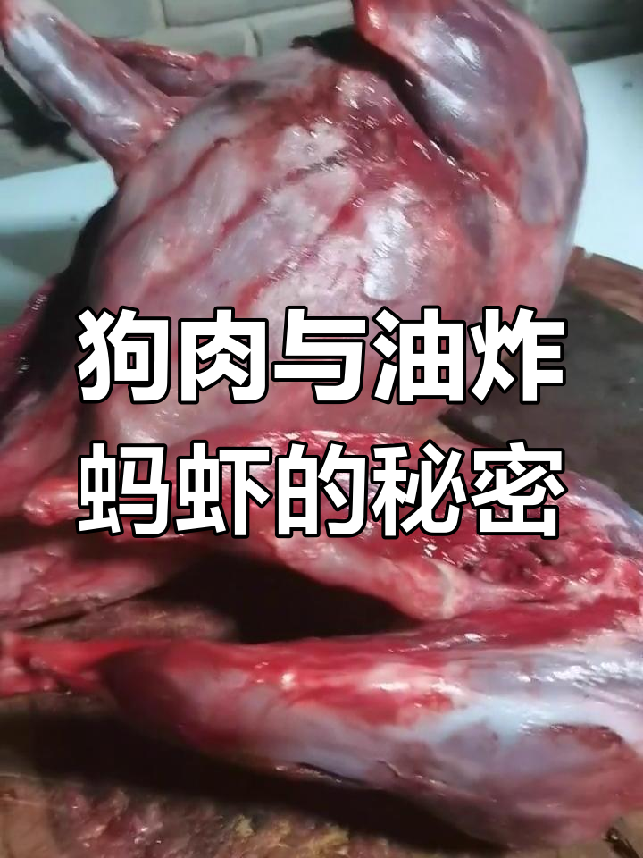 谁走漏了风声?香辣狗肉和浚县炸蚂虾让我出名!