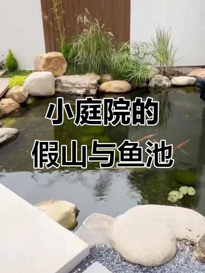 40平米庭院假山鱼池建造全纪录，打造自然生态景观