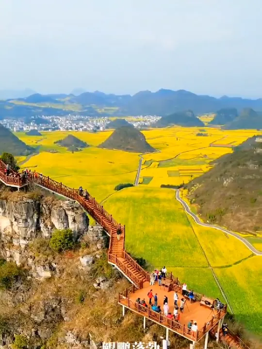 登上云南曲靖罗平县油菜花景区山顶,站高望远赏美景