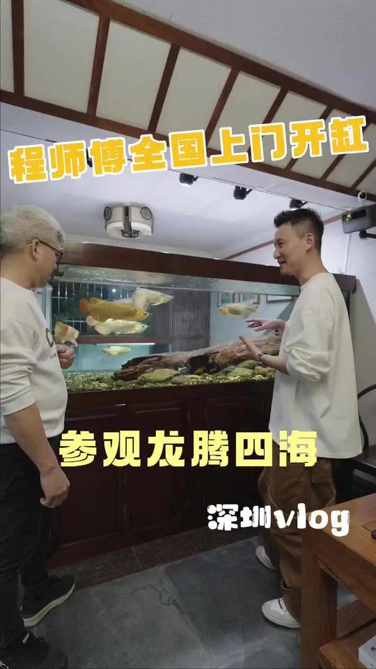 程师傅全国上门开缸「深圳vlog」顺便还参观了龙腾四海,太帅了!水鸦鱼缸 龙鱼 红龙 养鱼