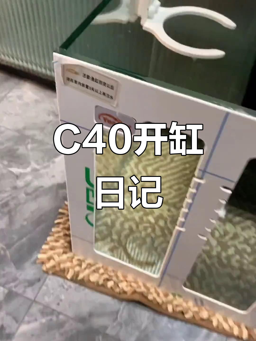 韵海C40开缸全纪录,珊瑚灯配不上这缸!