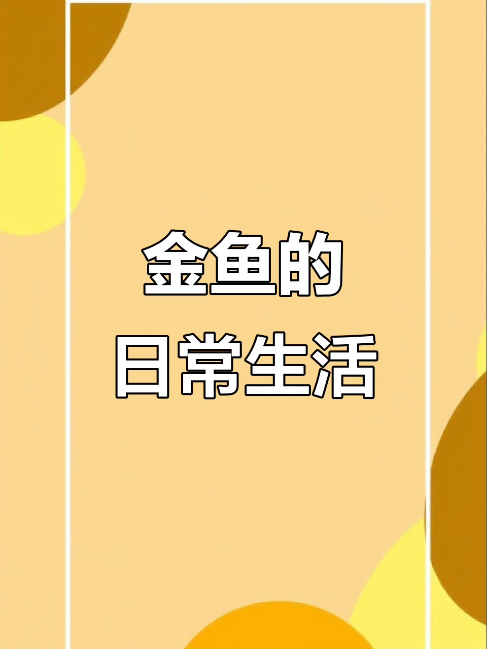 金鱼生活:圆形的鱼缸,条纹装饰,喂养与日常