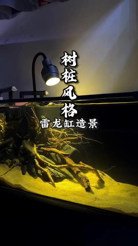 创作灵感 溪流缸和红沙南美缸都看腻了,玩的新风格吧,适合养点什么鱼呢!溪流缸 鱼缸造景 让