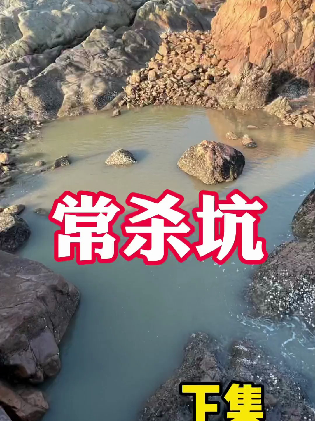 鸭血泡发红鱼打窝，引来数十条凶狠鳗鱼霸窝