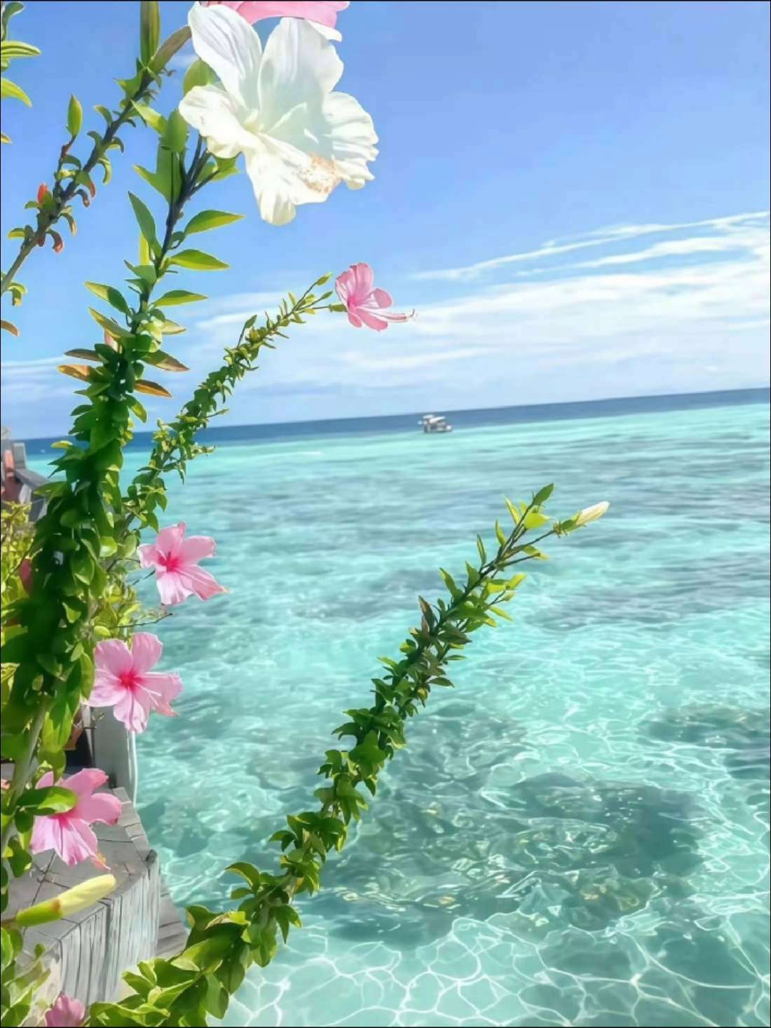 给你们推荐这款发光手绘画板,孩子一拿到就爱上!自带小彩笔还有临摹板,不怕不会画