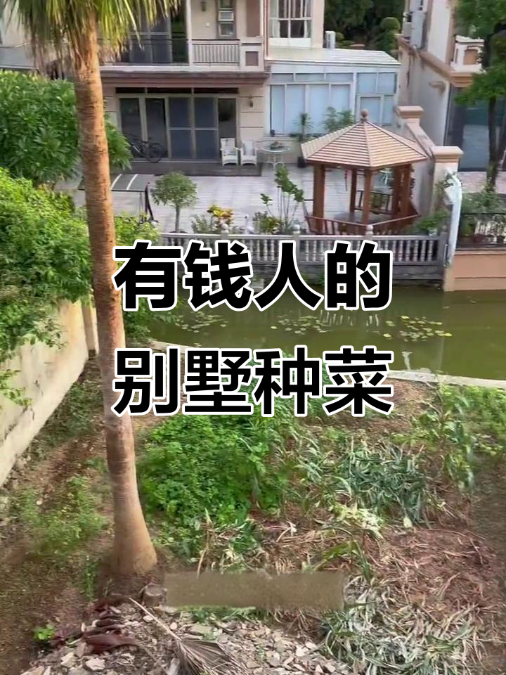 中山有钱人别墅种菜,独门独院生活真奢华