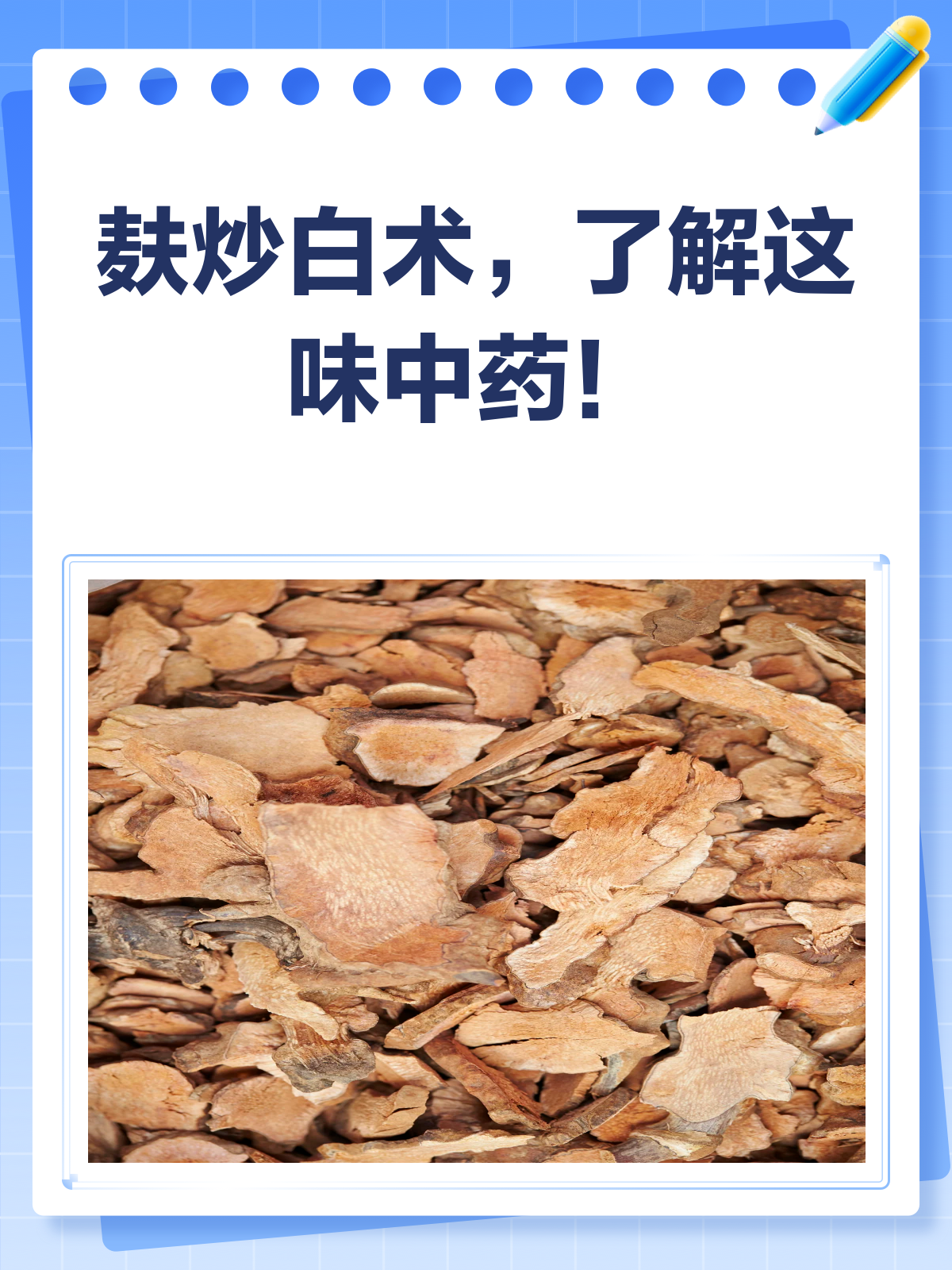 麸炒白术，你了解多少？