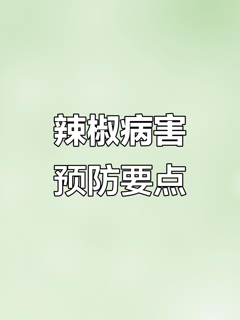 辣椒软腐病识别与防治技巧,快速恢复长势