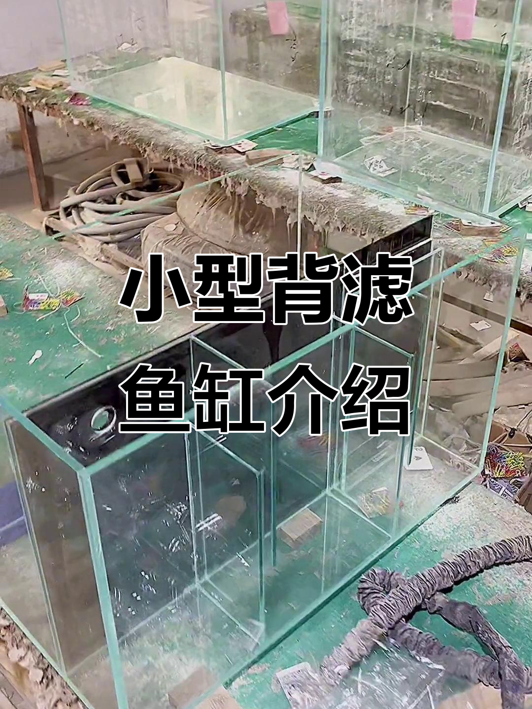 背滤鱼缸使用指南:小巧美观,适合小型鱼类养殖