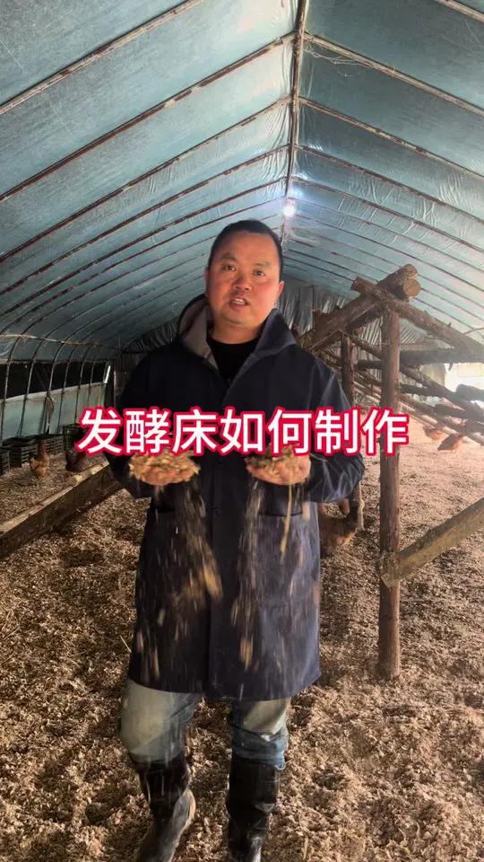 发酵床养鸡,轻松又省力#养鸡技术分享 #养鸡小妙招 #发酵床养鸡 #发酵床制作方法 #发酵