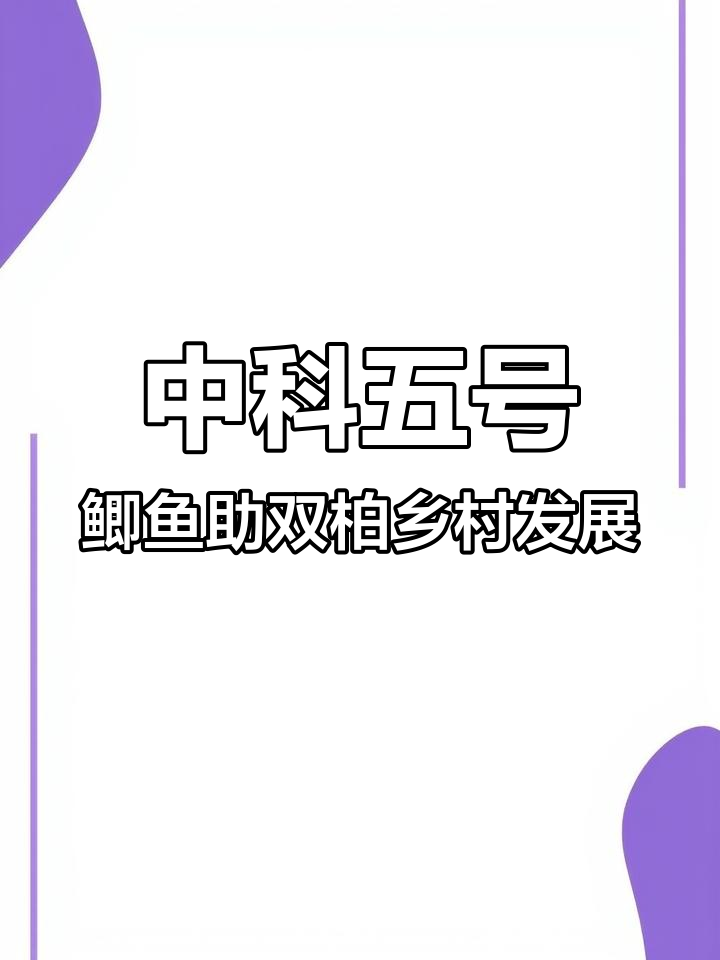 双柏县引进中科五号鲫鱼,助力乡村振兴与渔业提质增效