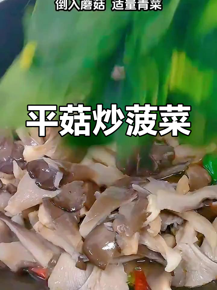 过年年夜饭必备,平菇炒菠菜寓意平安多财!鲜香不油腻,家常美味又下饭