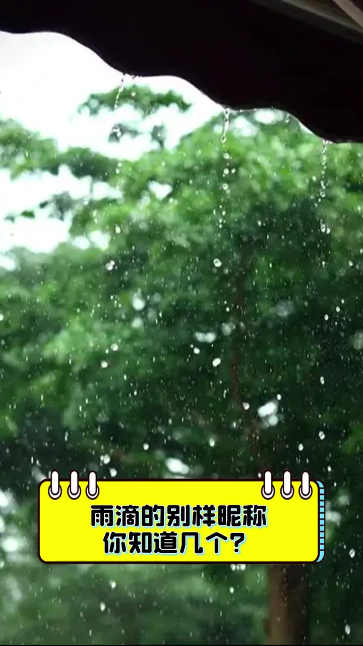 雨滴的别样昵称,你知道几个?