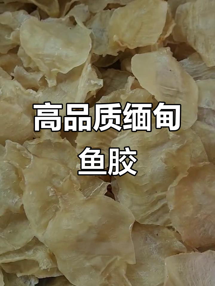 纯天然缅甸鱼胶，肉质细腻，适合坐月子、备孕食用