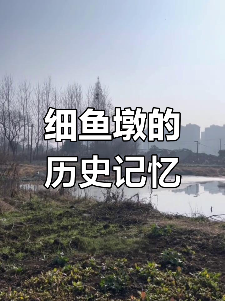 细鱼墩旧址:百年变迁的见证
