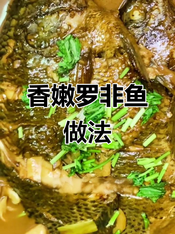 罗非鱼炖出美味,轻松学会这道家常菜