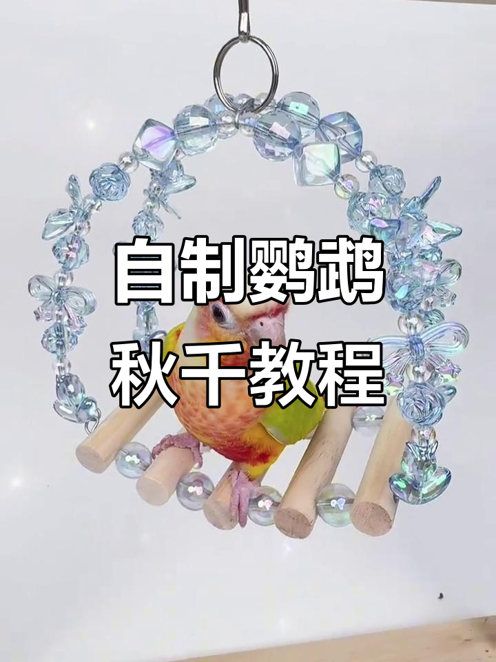 手工DIY鹦鹉秋千,蓝色系装饰让小鸟更开心