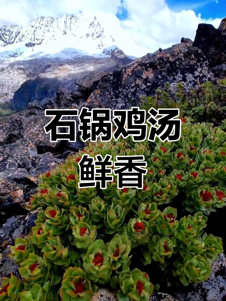 鲁朗石锅鸡:西藏必尝美食