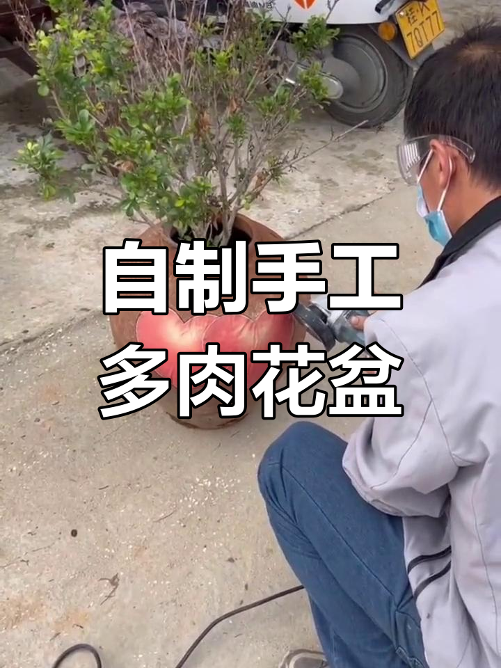 废旧陶罐变身多肉花盆,创意切割打造独特造型