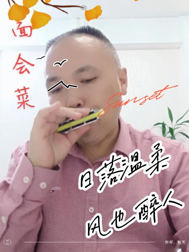 简单的旋律,无限的遐想!面会菜