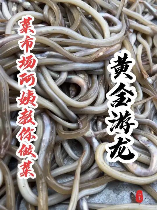 同学们,这个鳗鱼你们那儿叫什么名字?您们都是怎么吃的呢?