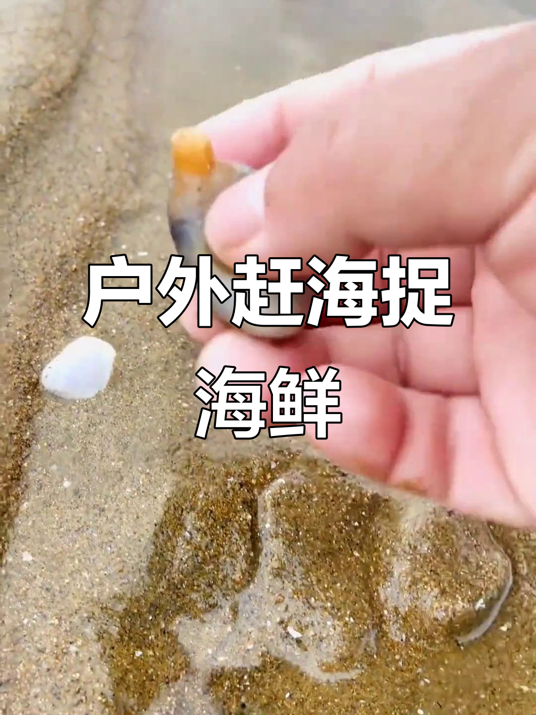 赶海抓海鲜,意外发现小墨鱼和惊吓宝宝