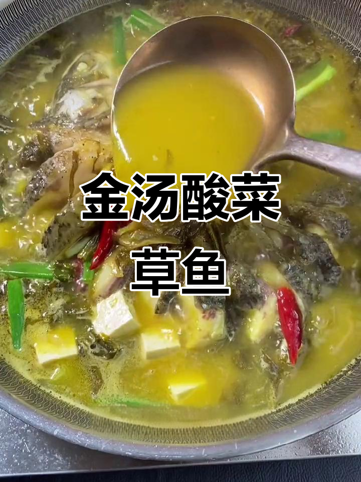 用酸菜鱼调料做金汤老坛酸菜草鱼,简单又美味