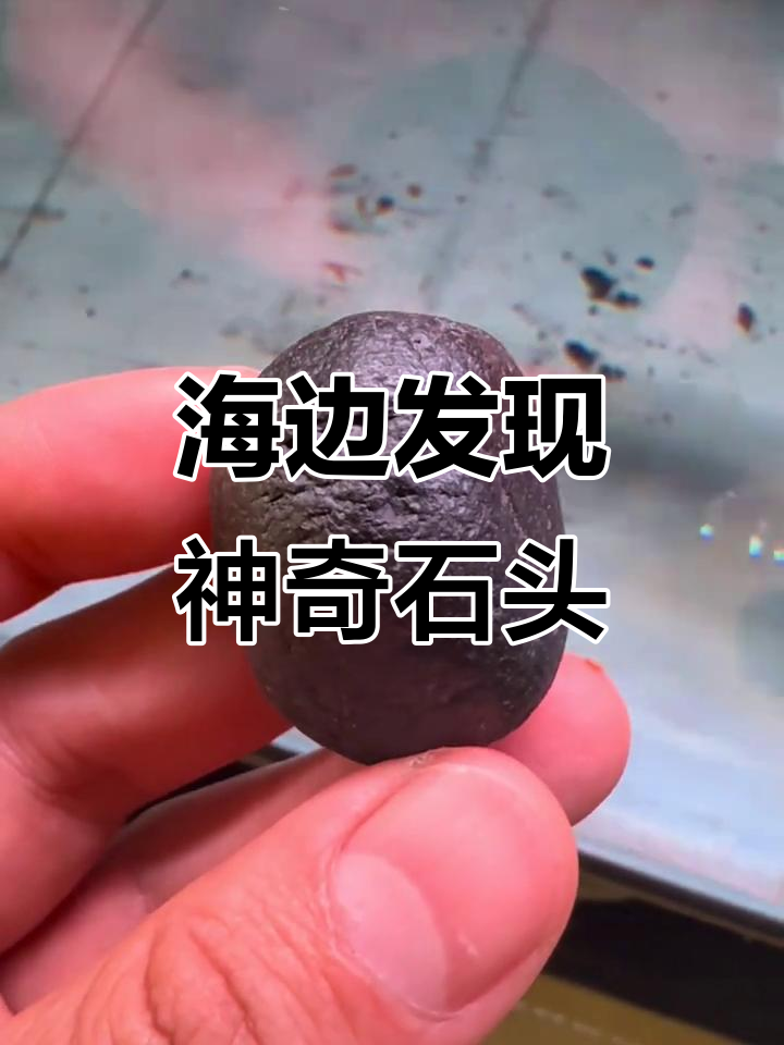 普陀山海边捡到神秘石头,形状像鲨鱼脸