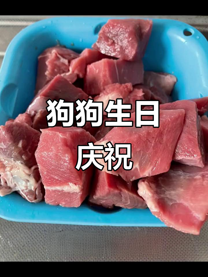 祝狗狗生日快乐!下次蛋糕选什么口味呢?