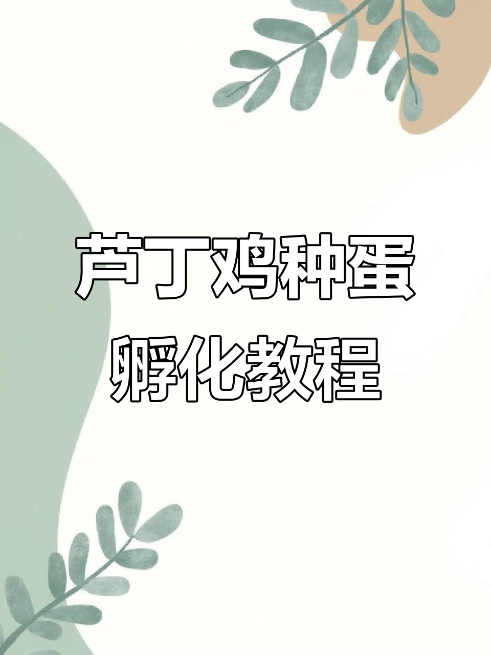 芦丁鸡蛋孵化全流程,轻松掌握小飞碟款孵化器操作
