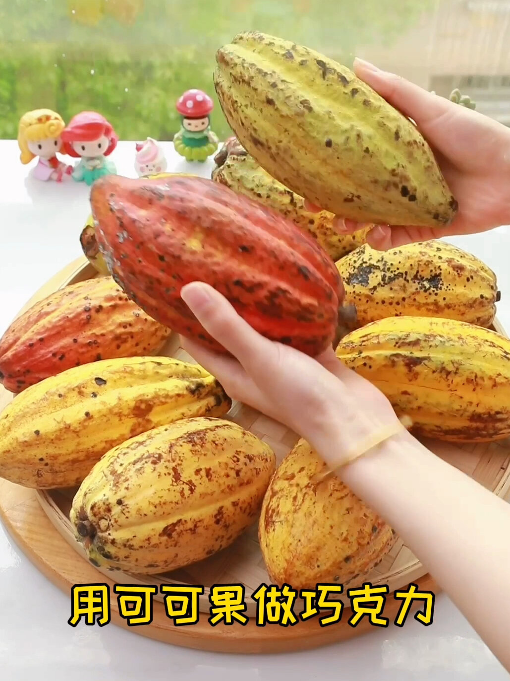 从果子开始,自制巧克力是什么体验