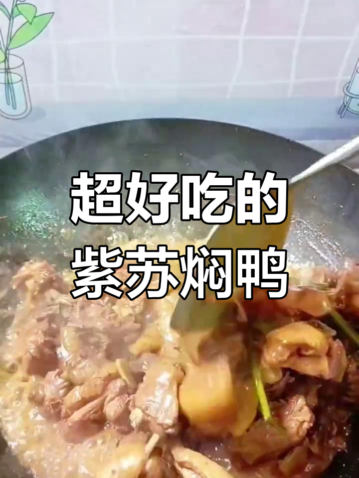 紫苏焖鸭,鲜香入味,家常美味让你停不下来
