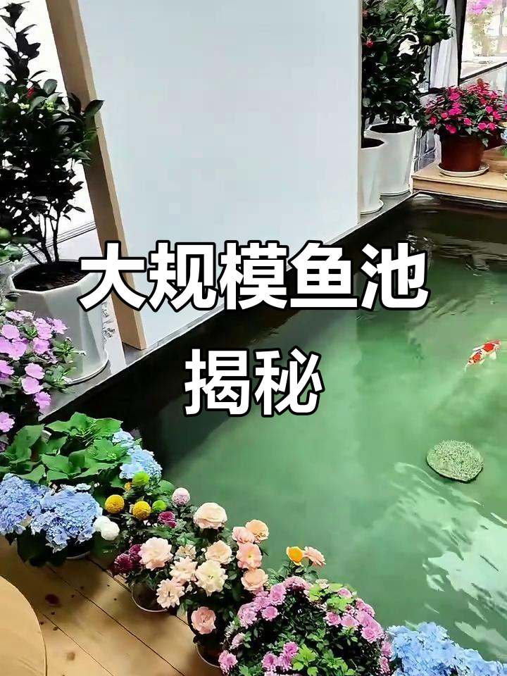 15吨鱼池建造全纪录，超震撼！