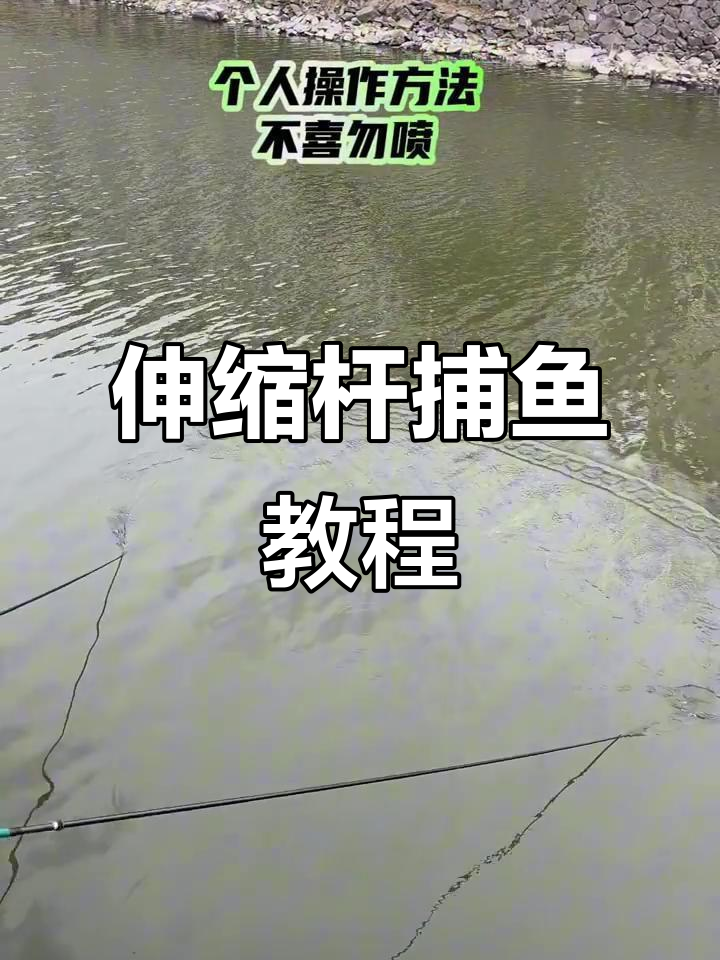 伸缩杆捕鱼技巧大揭秘,轻松掌握完美操作