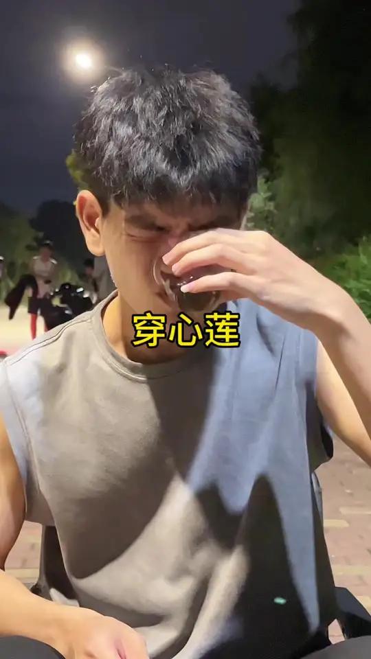 这玩意这么苦?大话骰 潮汕鱼虾蟹骰子 穿心莲