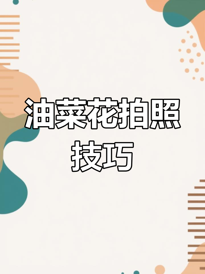 油菜花拍摄技巧大揭秘,如何拍出惊艳效果