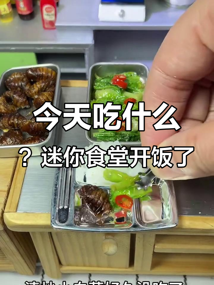 迷你食堂今日美味大揭秘:香米饭、油渣蚕蛹与清爽小菜