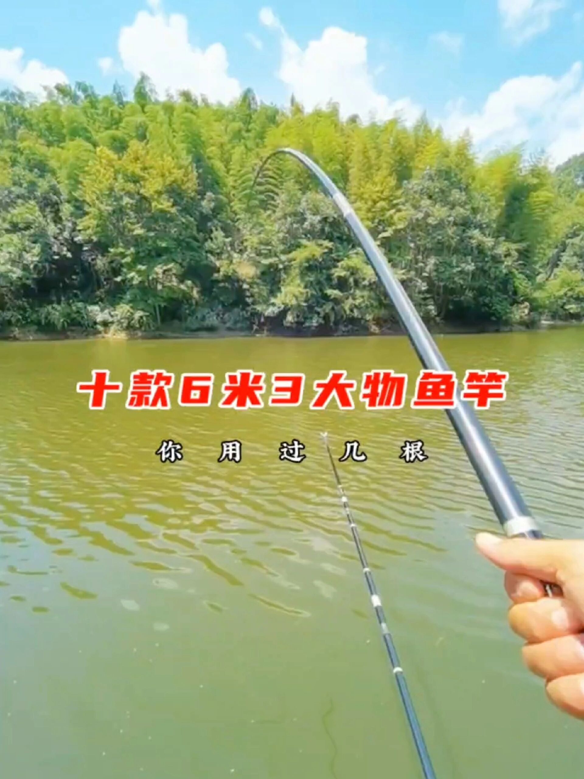 十款6米3大物鱼竿