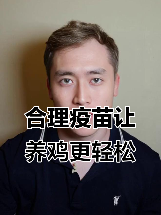 养鸡必做疫苗程序,成功关键全解析