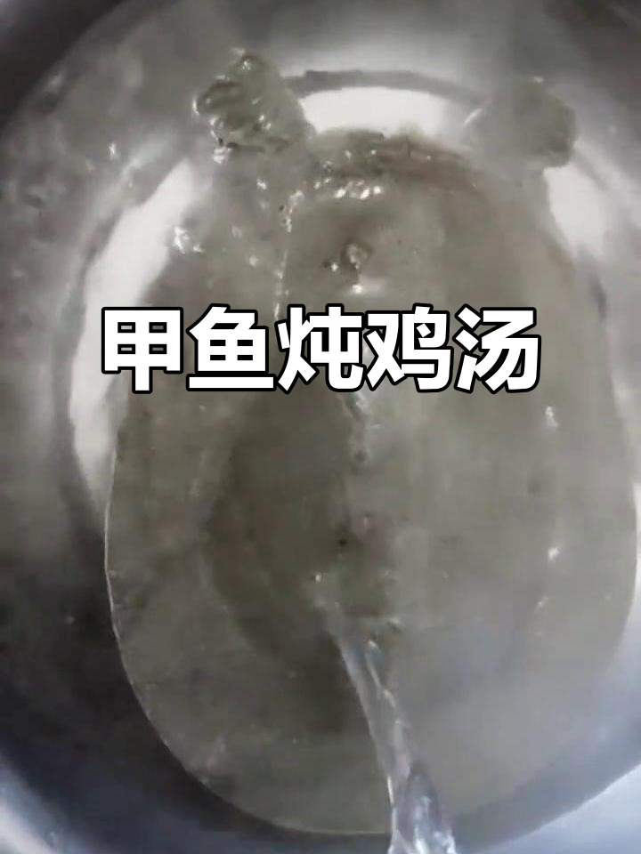 甲鱼炖乌鸡,家常做法大揭秘!