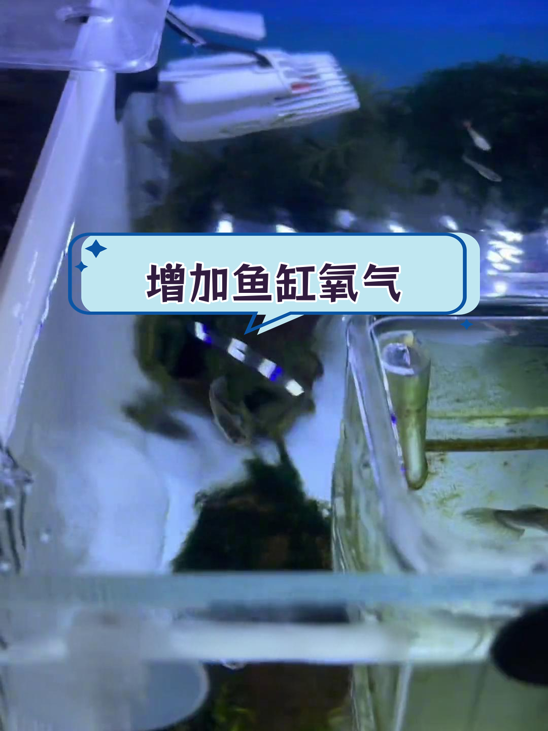 零成本提升鱼缸溶氧量,轻松改造鸭嘴出水口