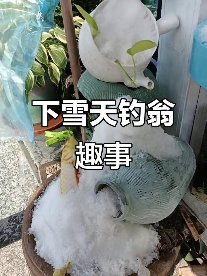 暴风雪中钓鱼，乐趣无穷！