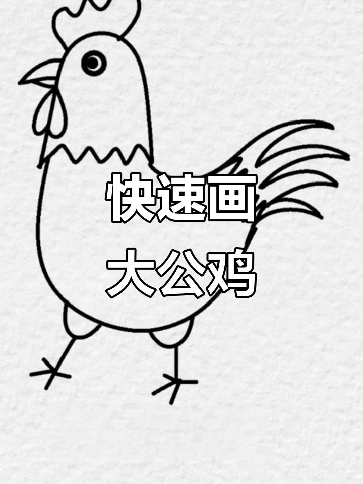 大公鸡简笔画，简单又可爱，轻松学会