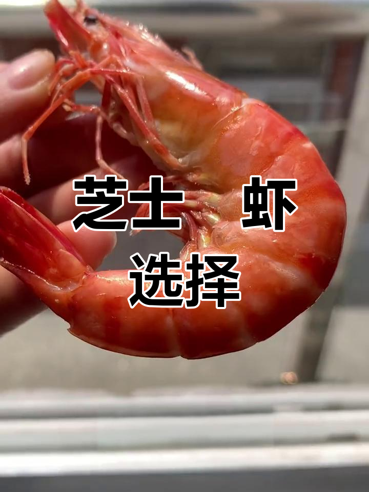 黑虎虾贵但更美观,白虾实惠又美味