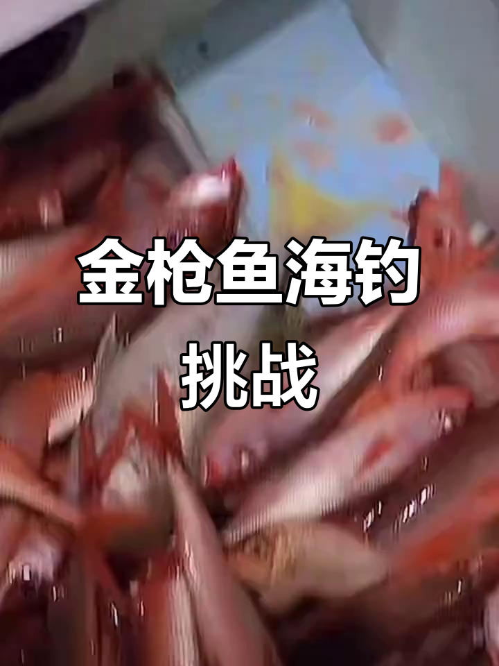 海钓金枪鱼与大狗鲨鱼的精彩瞬间,紫条数量惊人