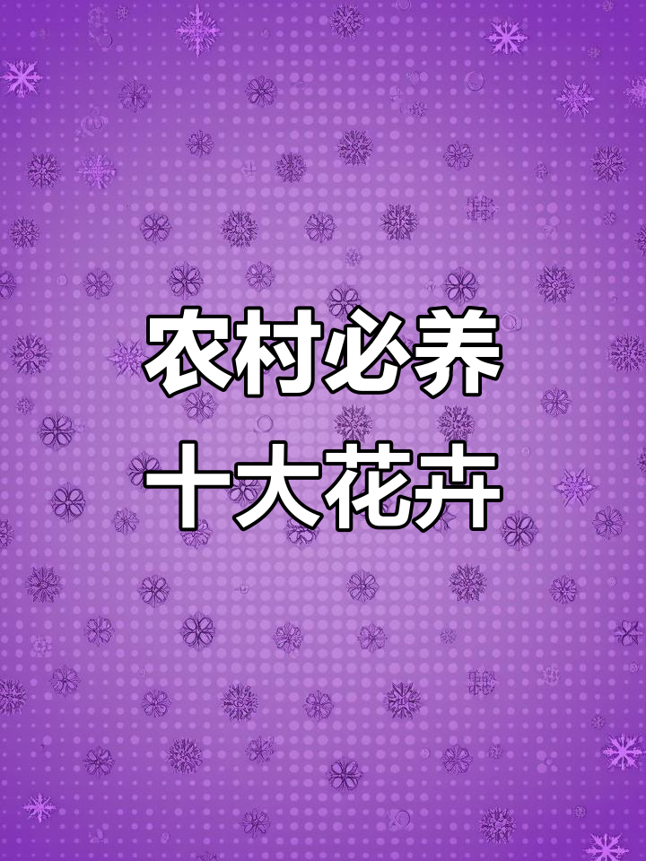 适合农村养的10种耐热耐寒花,花期长达半年