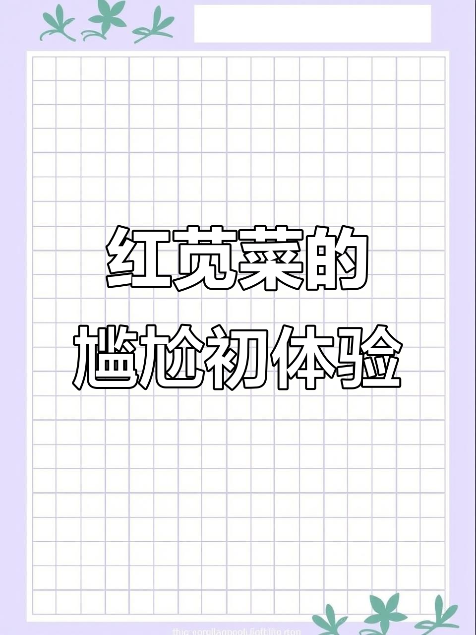 6月尝红苋菜,老花第一次吃真是“参与”了